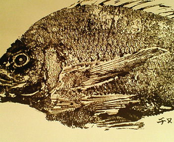 魚拓.jpg 魚拓.jpg